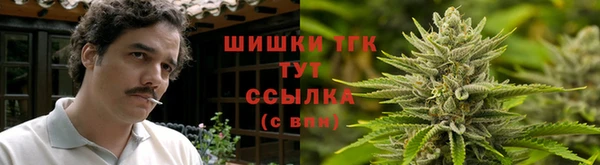 ПСИЛОЦИБИНОВЫЕ ГРИБЫ Абдулино