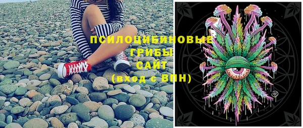 ПСИЛОЦИБИНОВЫЕ ГРИБЫ Абдулино