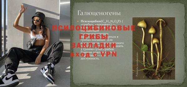 ПСИЛОЦИБИНОВЫЕ ГРИБЫ Абдулино